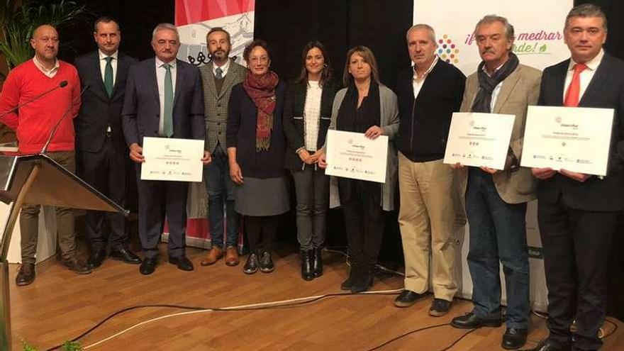 Betanzos recibe dos distinciones en Vilas en Flor