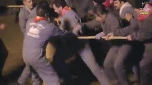 PACMA documenta linfern de Mancheguito