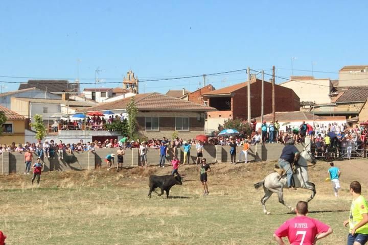 Espantes de Guarrate