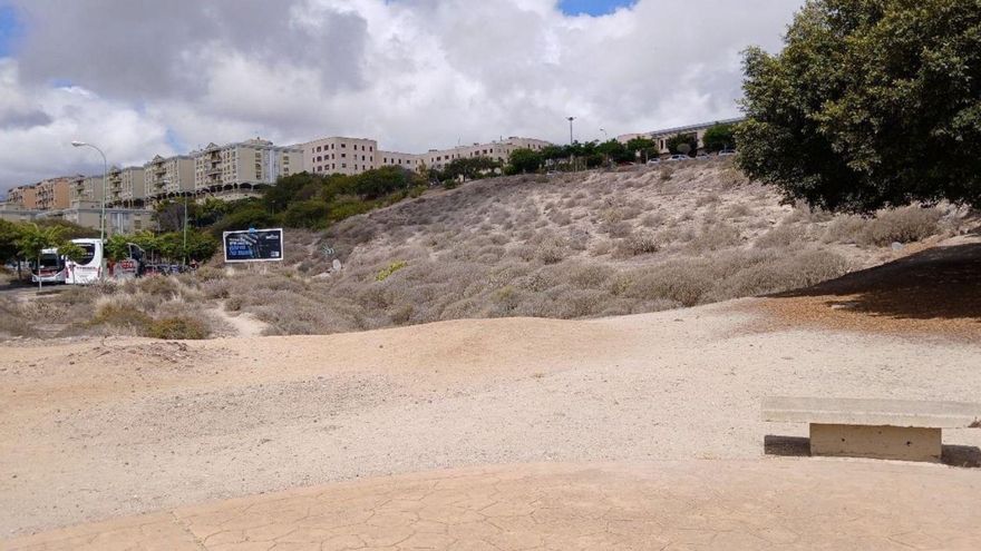 El corredor verde avanza con 2.000 árboles en Ciudad Alta