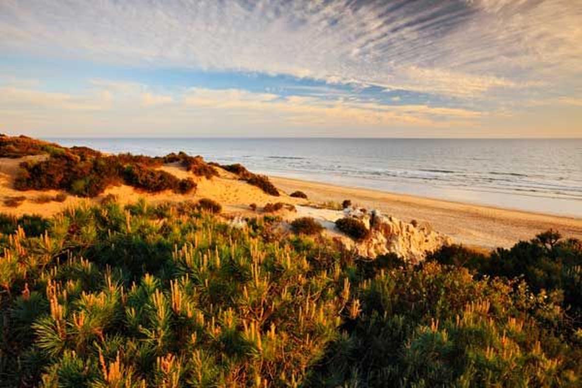 Doñana