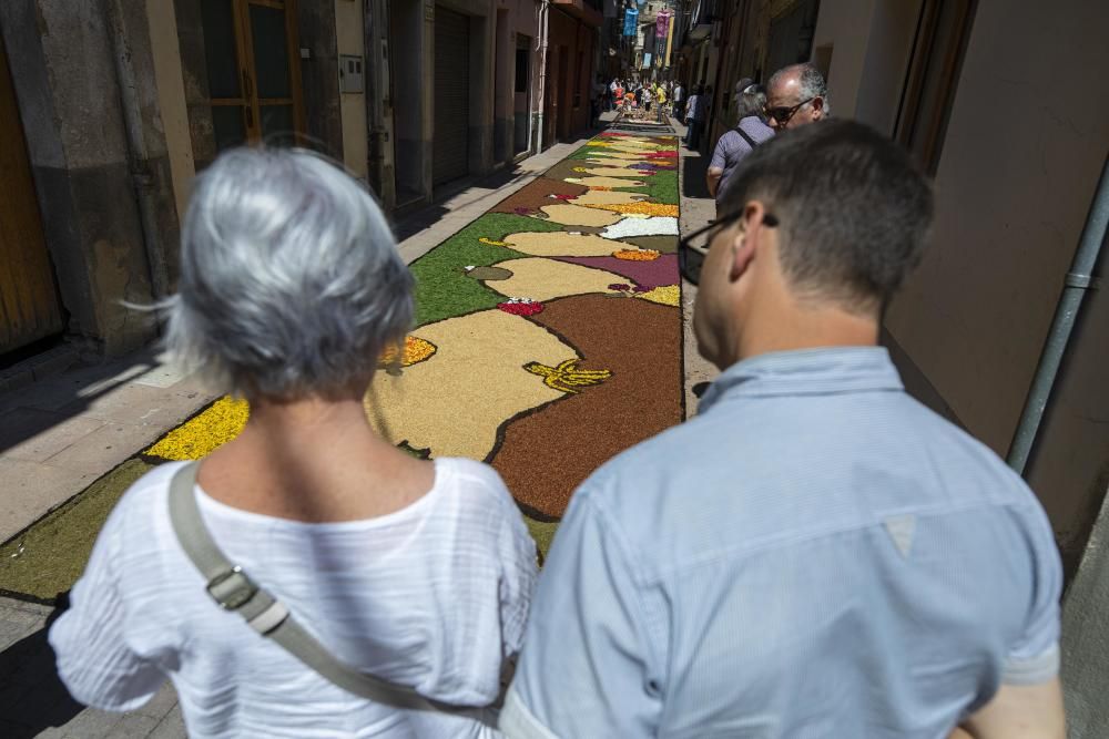 El concurs de catifes de flors naturals omple Arbúcies