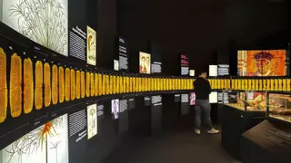 Arte inmersivo con sello de Elche que da la vuelta al mundo