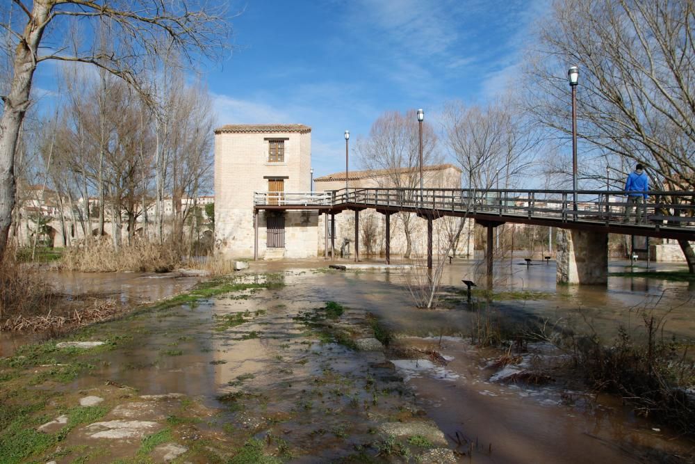 El aspecto del Duero tras las últimas avenidas