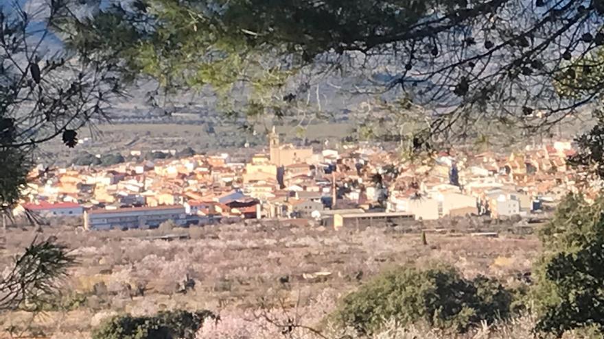 La original iniciativa de un pueblo de Castellón para favorecer el pastoreo y prevenir incendios