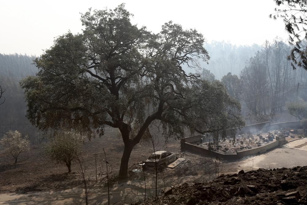 Incendio de grandes dimensiones en Portugal