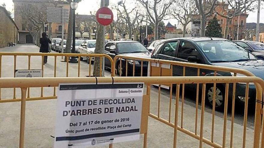 Punt de recollida d&#039;arbres habilitat a la plaça del Camp