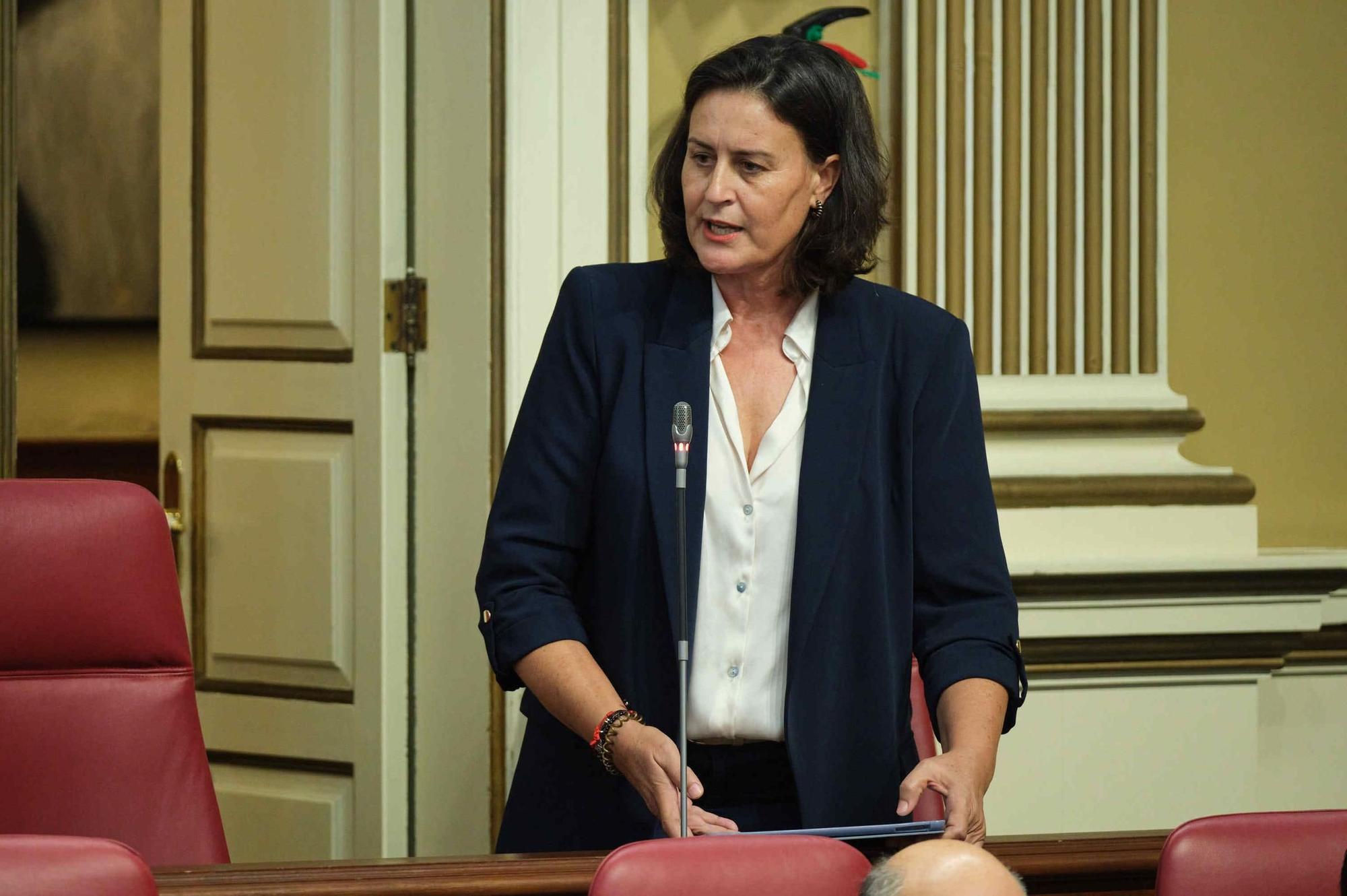 Pleno del Parlamento de Canarias (07/11/2023)