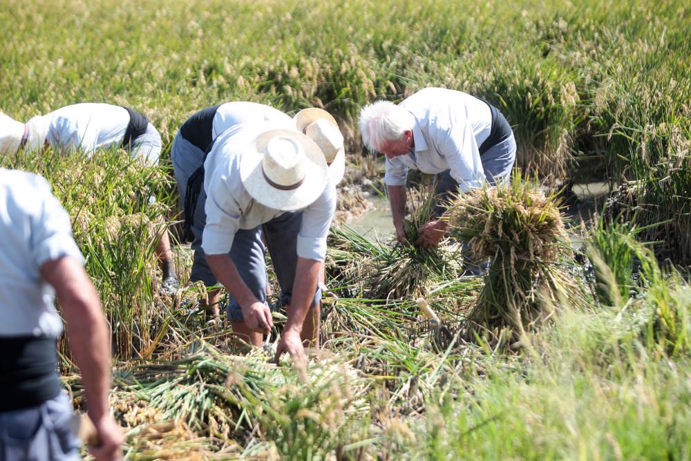 Fiesta de la Siega del Arroz