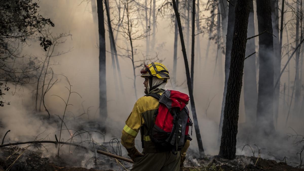 Efectivos antiincendios actúan en otro incendio en la provincia (foto de archivo)