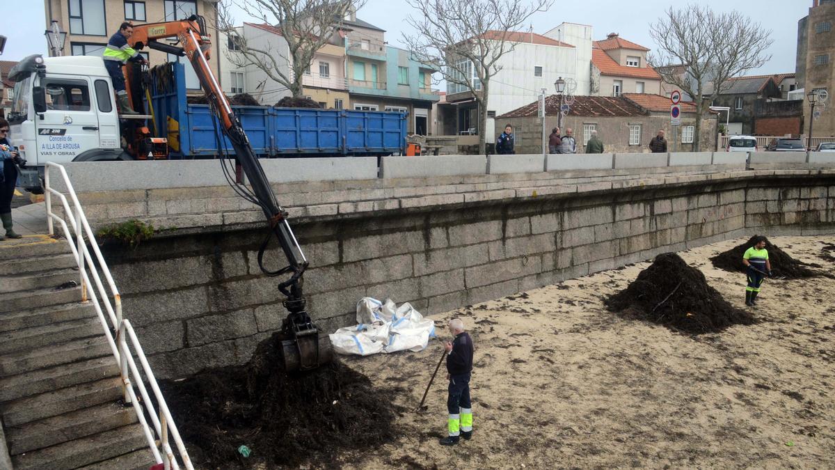 Retiran algas con restos de chapapote de la playa de O Campo, en A Illa de Arousa