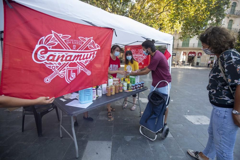 Canamunt y Canavall comienzan la recogida de alimentos