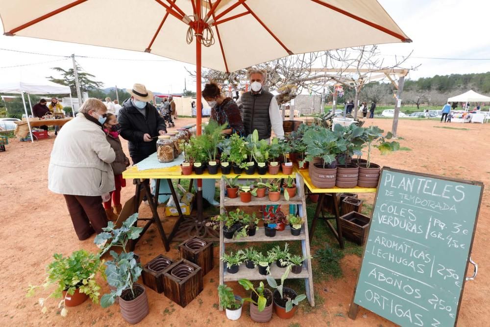 Cada sábado, una veintena de puestos de artesanía y de fruta y verdura se pone en marcha desde las 10 a las 16 horas