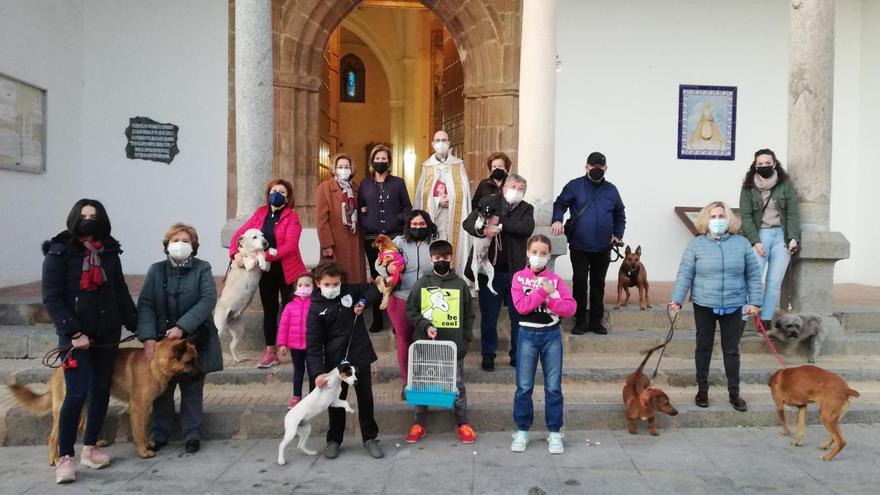 El párroco de Fuente Obejuna bendice a las mascotas en el Día de San Antón