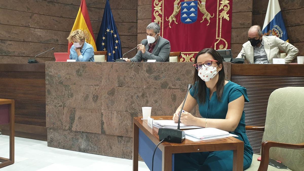 La consejera de Turismo del Gobierno de Canarias, Yaiza Castilla, en comisión parlamentaria.