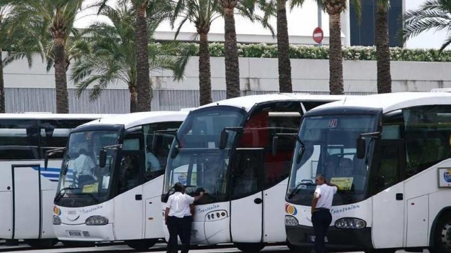 Reisebusse am Flughafen Mallorca.