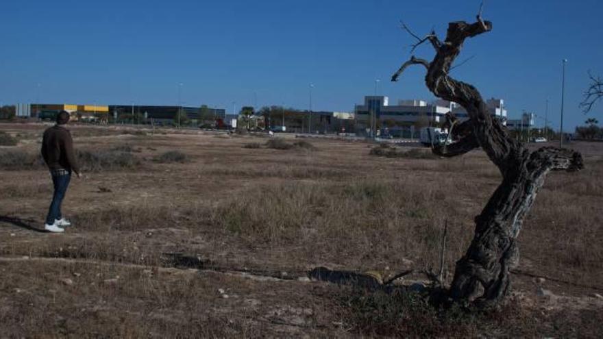 Elche ultima la compra de 90.000 metros en la zona de ampliación del parque industrial