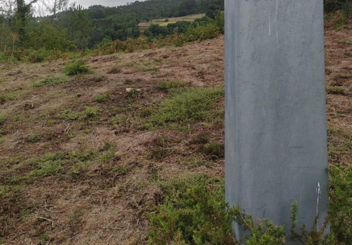 Estado actual da devasa baixo o tendido eléctrico. |