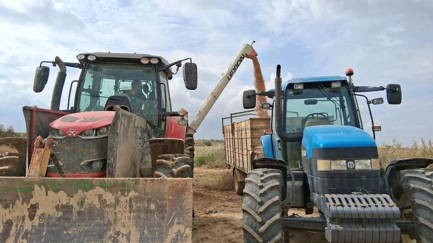 Comienza el pago de los seguros agrarios: los agricultores aragoneses ya no tienen que adelantar los fondos