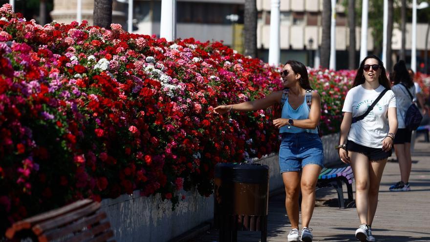 Google ya muestra el puente de las Flores con el nombre de Rita Barberá