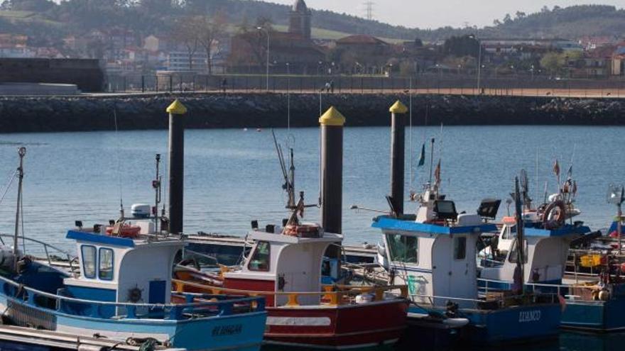 Barcos pesqueros amarrados en el puerto del Gayo.