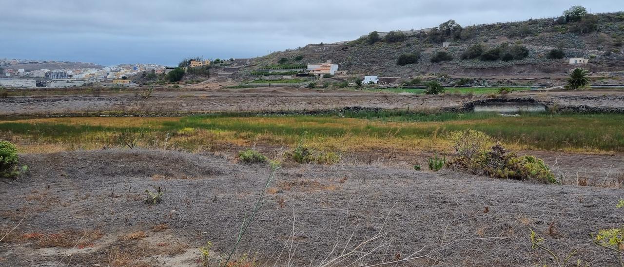 Imagen reciente de las charcas de San Lorenzo prácticamente secas.
