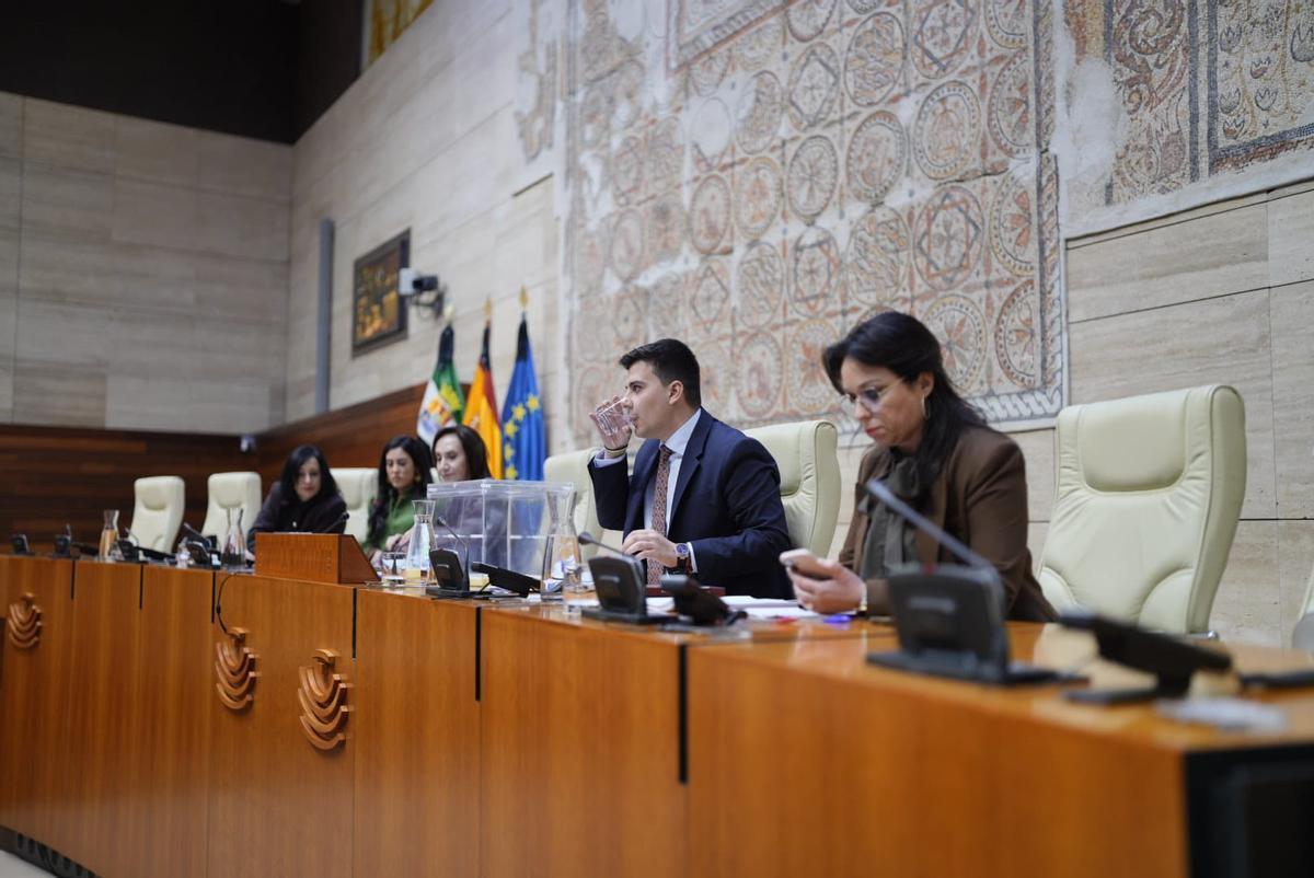 Fotogalería | Imágenes de la XII legislatura en Extremadura