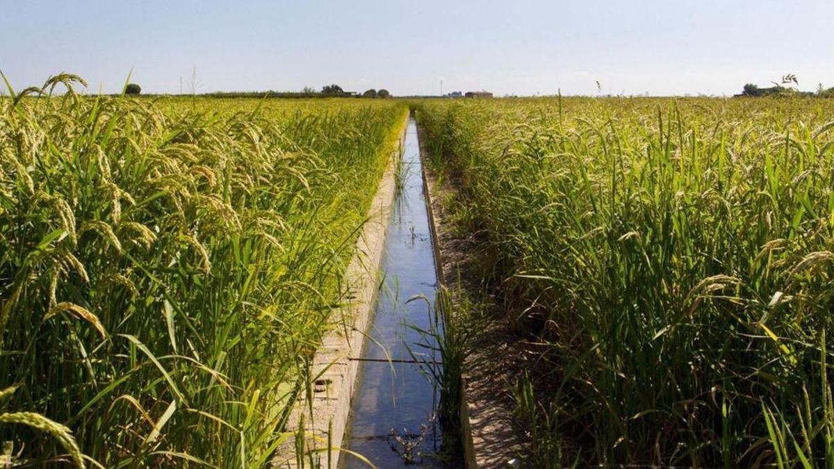 Imagen de archivo de una acequia.