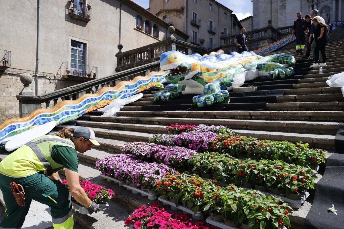 Les imatges dels preparatius de Temps de Flors Les imatges dels preparatius de Temps de Flors