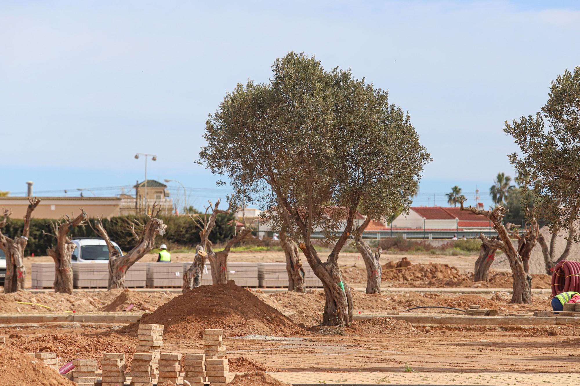 Así van las Obras del  parque La Siesta de la urbanización de San Luís en Torrevieja