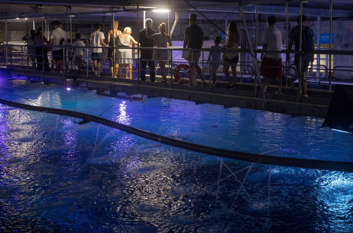 VALENCIA. VLC. Tour Backstage Oceanografic. ( Fotos Lucia Company )