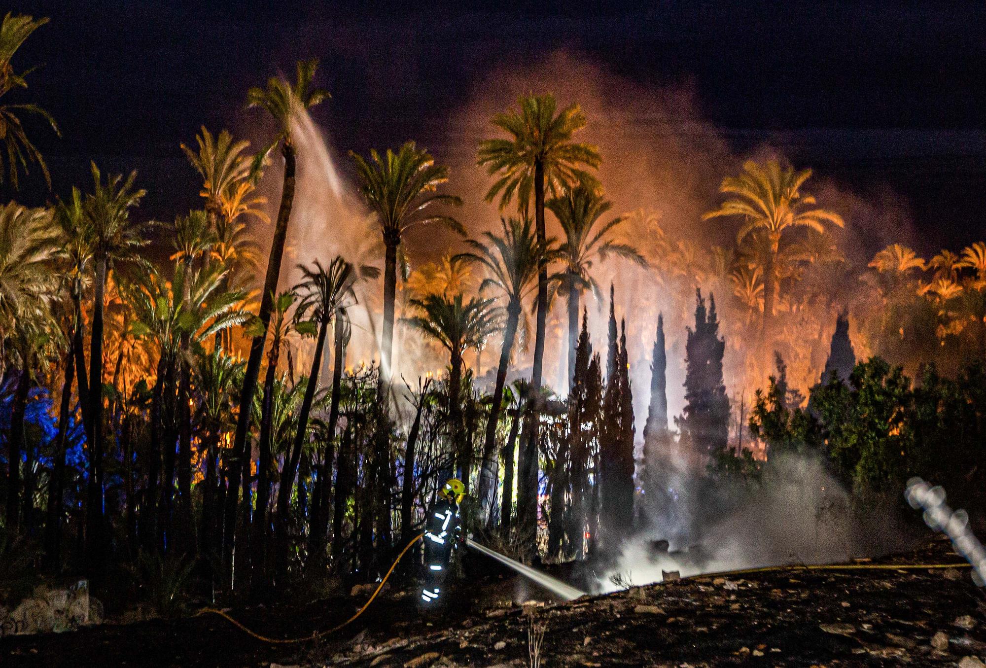Incendio en el Parque del Palmeral de Alicante