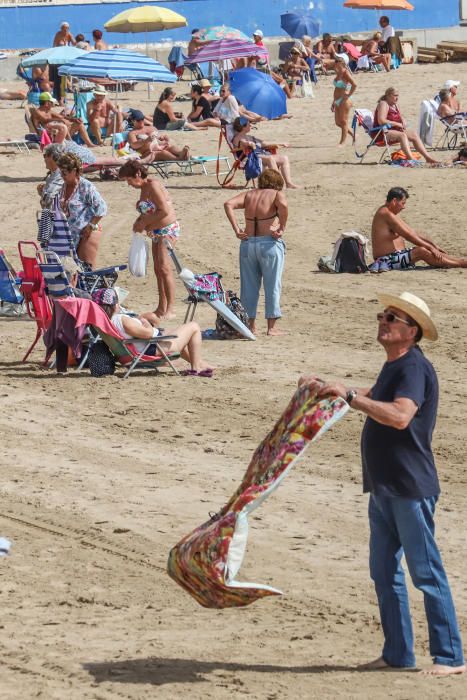 Imágenes de Torrevieja de este viernes 13 de marzo con terrazas y paseos llenos y playas animadas