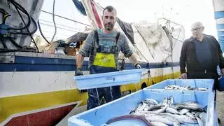 La Generalitat se alía con la pesca de Castellón y exige al Gobierno frenar la nueva normativa
