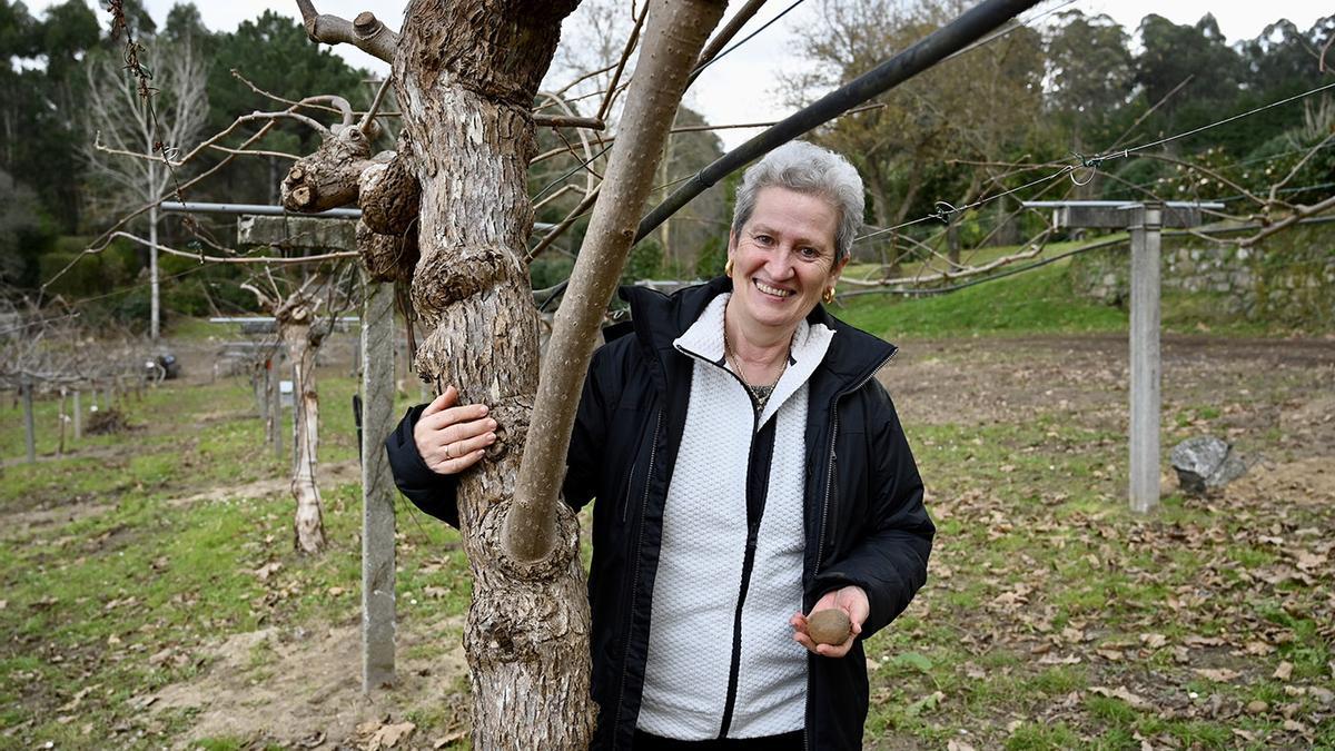 La directora de la Estación Fitopatológica de Areeiro en Pontevedra, Carmen Salinero, experta en cultivos subtropicales.