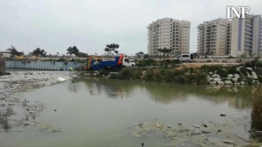 Sacan toneladas de plástico del río Segura