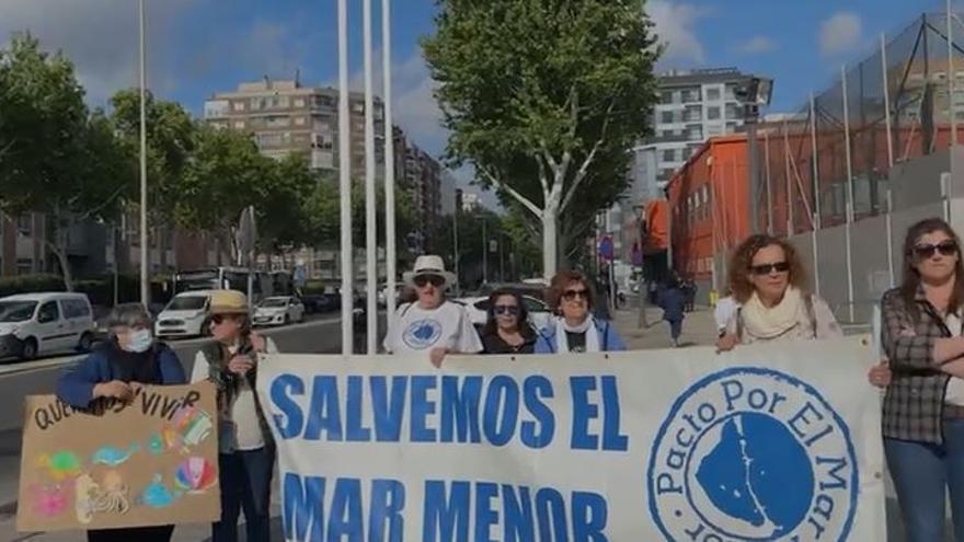 Ecologistas con pancartas a las puertas de la Asamblea