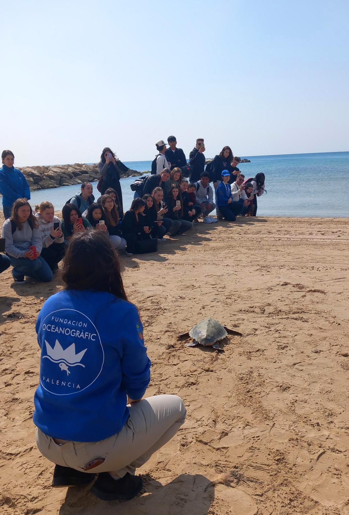 La actividad de clausura la desarrolló el Área de Recuperación y Conservación de Animales del Mar (ARCA del Mar) de la Fundación Oceanogràfic.