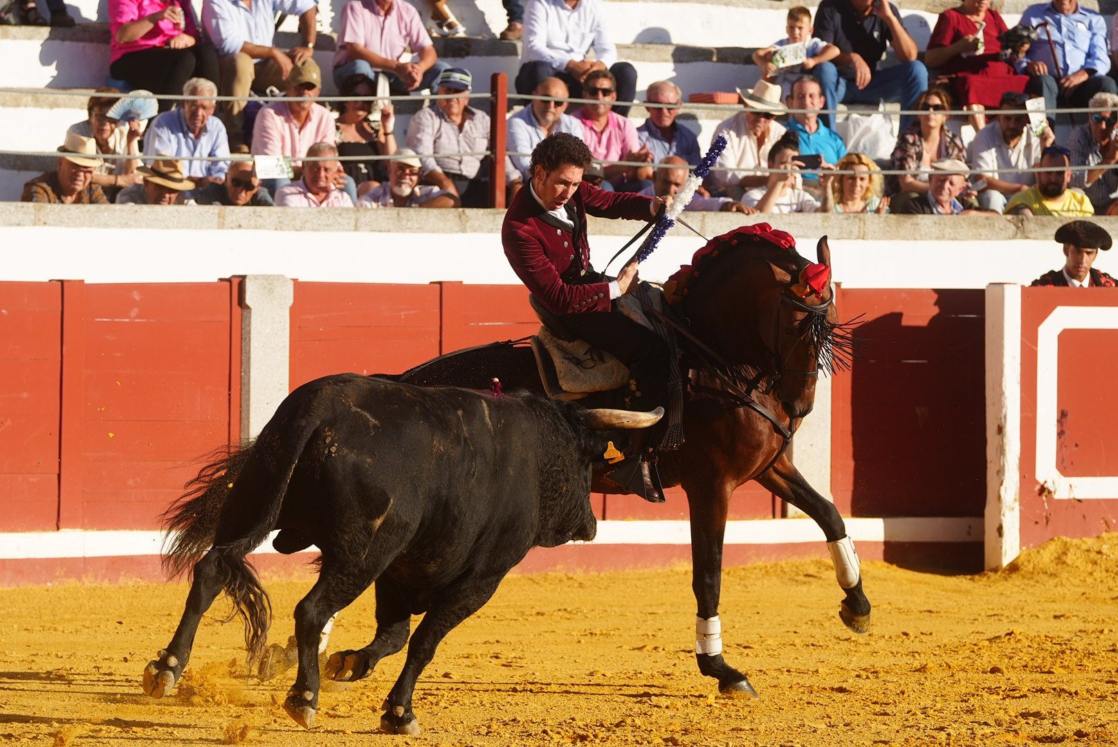 La corrida de rejones en Pozoblanco, en imágenes