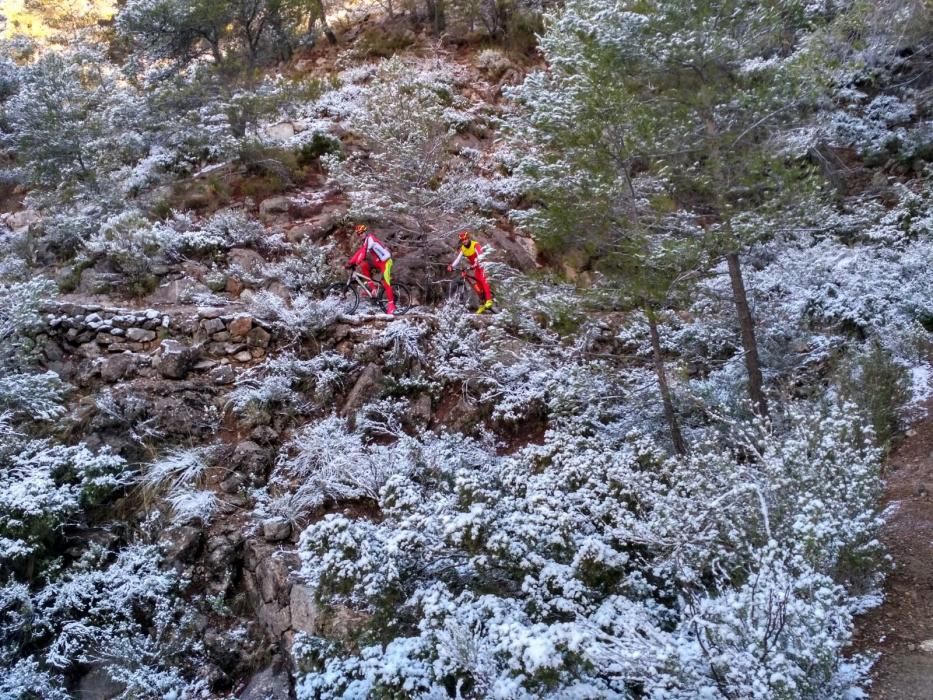 Nieve en La Carrasca, en Sierra Espuña