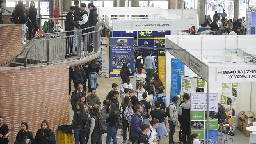 Aquestes són les diferents propostes de formació que ajudaran a orientar el teu futur laboral