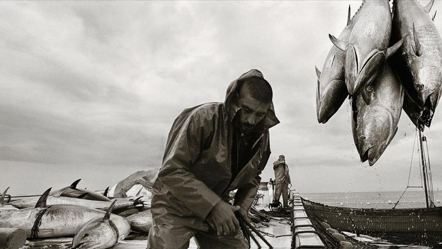 Llega a la Fundación Frax &quot;Almadrava&quot;, la exposición de fotografías de Jaume Fuster