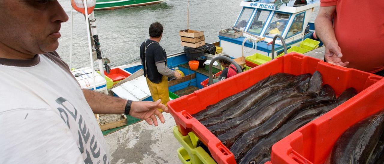 Una pasada descarga de cajas de merluza en el puerto pesquero de Avilés.