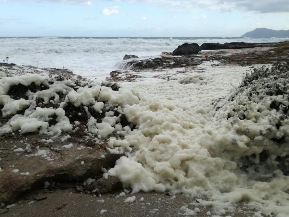 Eine dicke weiße Schaumschicht hat am Sonntag (3.12.) den Strand von Son Serra de Marina bedeckt.  Viele Anwohner und Besucher befürchteten zunächst eine Art Wasserverschmutzung. Von der MZ-Schwesterzeitung befragte Fachleute halten das Phänomen jedoch für eine natürliche Folge der Unwetter der vergangenen Tage.