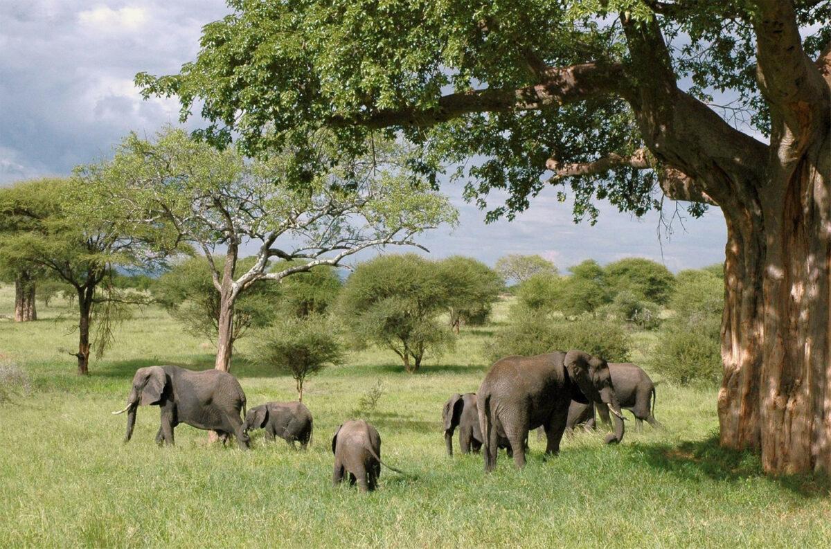 El cambio climático amenaza joyas naturales únicas en el mundo