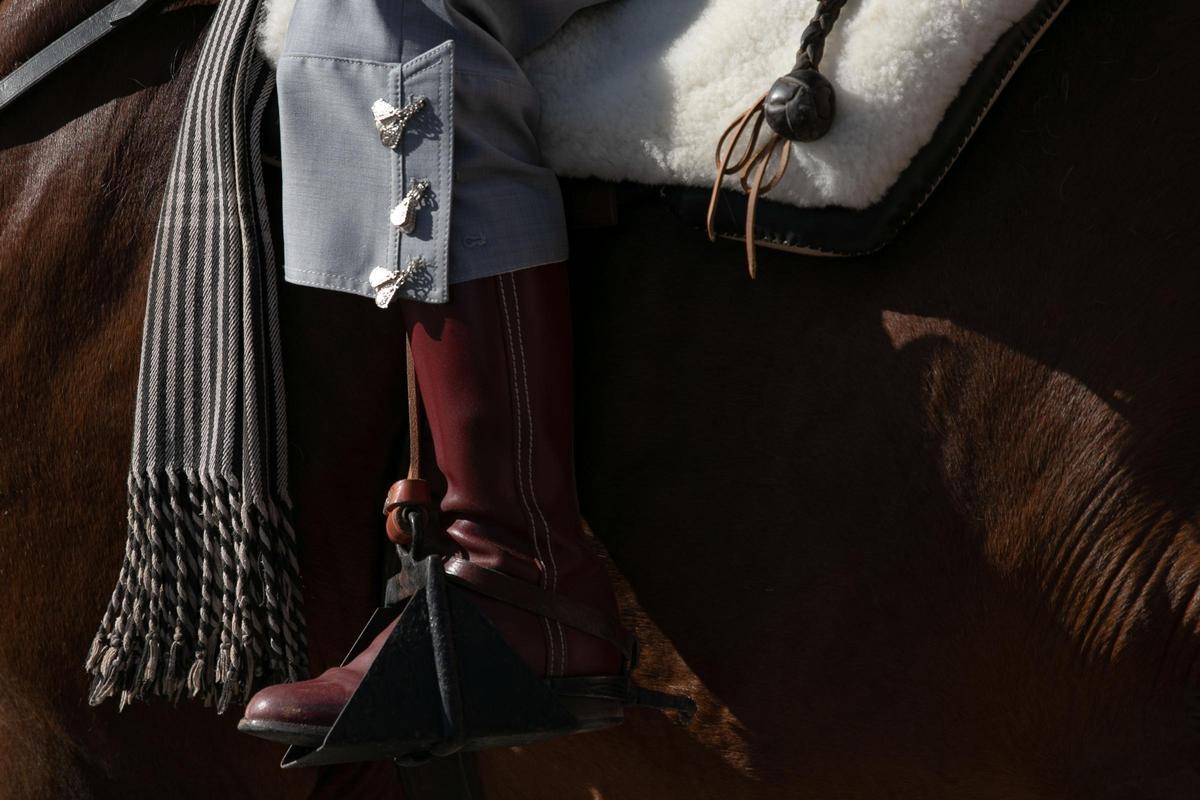 Así ha sido la celebración de San Antón en Cartagena