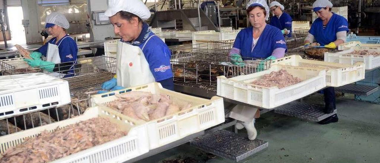 Trabajadoras en una destacada empresa conservera de la comarca. // R. Vázquez