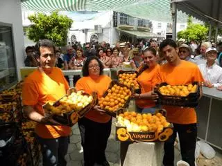 Sayalonga celebra este domingo una nueva edición Día del Níspero con el reparto de 1.500 kilos de este fruto