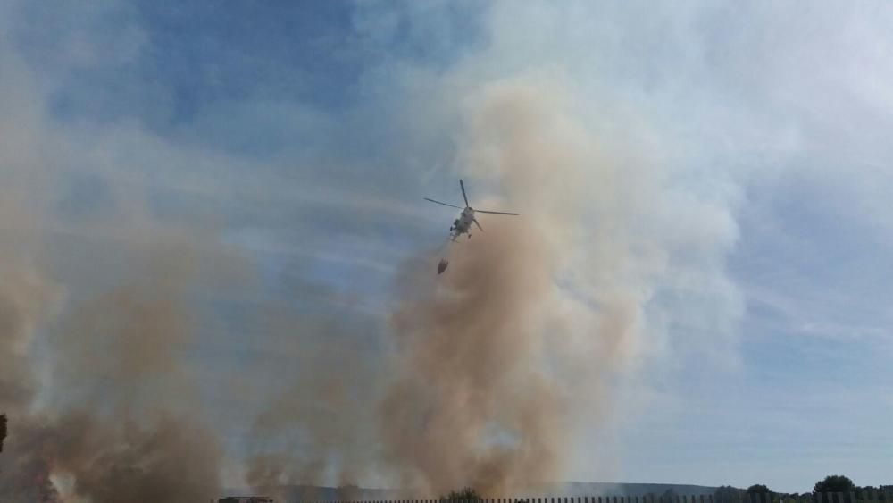 Feuerwehr bekämpft Brand bei Magaluf