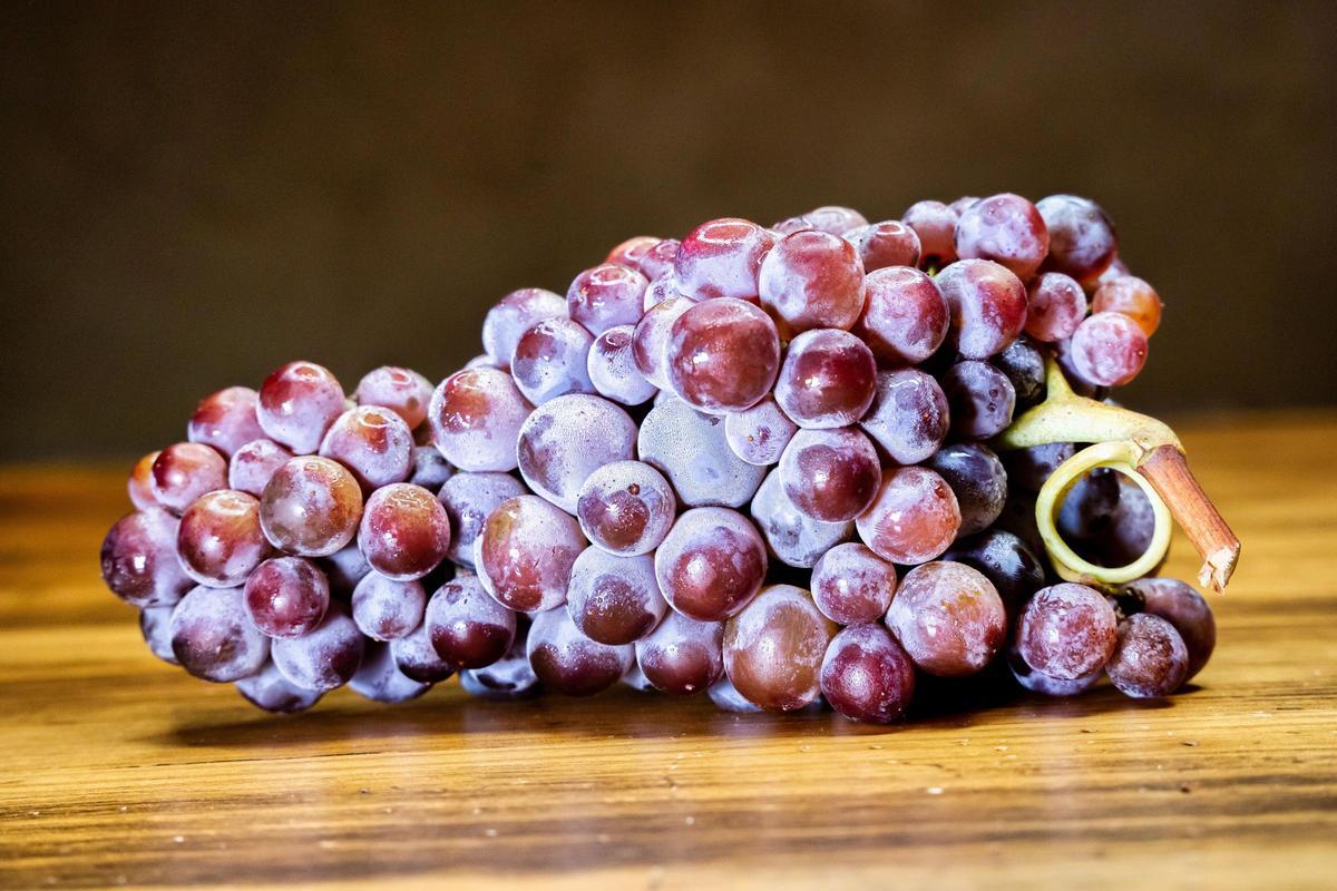 La variedad autóctona de la garnacha produce vinos tintos intensos y frutales.